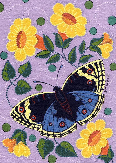 Blue Buckeye Butterfly